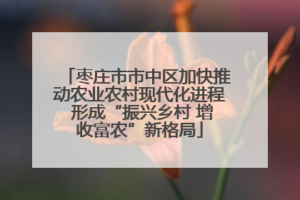 枣庄市市中区加快推动农业农村现代化进程 形成“振兴乡村 增收富农”新格局
