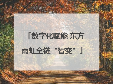 数字化赋能 东方雨虹全链“智变”