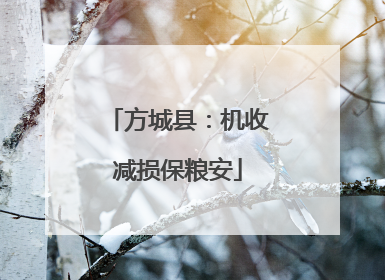 方城县：机收减损保粮安