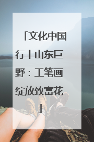 文化中国行丨山东巨野：工笔画绽放致富花