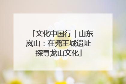 文化中国行｜山东岚山：在尧王城遗址探寻龙山文化