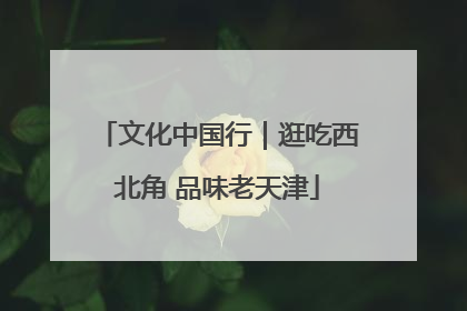 文化中国行｜逛吃西北角 品味老天津