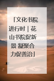 文化书院进行时｜花山书院促新景 凝聚合力促善治