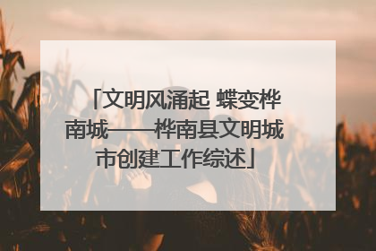 文明风涌起 蝶变桦南城——桦南县文明城市创建工作综述