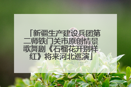 新疆生产建设兵团第二师铁门关市原创情景歌舞剧《石榴花开别样红》将来河北巡演