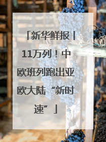新华鲜报丨11万列！中欧班列跑出亚欧大陆“新时速”