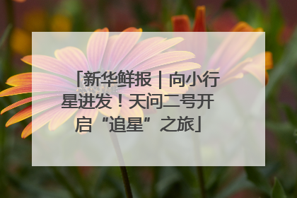 新华鲜报｜向小行星进发！天问二号开启“追星”之旅