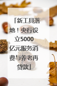 新工具落地！央行设立5000亿元服务消费与养老再贷款