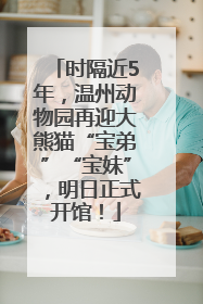 时隔近5年，温州动物园再迎大熊猫“宝弟”“宝妹”，明日正式开馆！