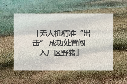 无人机精准“出击” 成功处置闯入厂区野猪