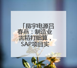 昆宇电源吕春燕：制造业需精打细算，SAP项目实现精细化成本管理