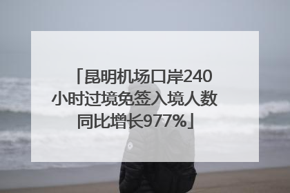 昆明机场口岸240小时过境免签入境人数同比增长977%