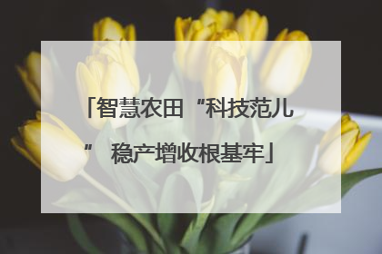 智慧农田“科技范儿” 稳产增收根基牢