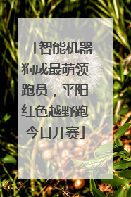 智能机器狗成最萌领跑员，平阳红色越野跑今日开赛