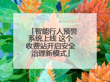 智能行人预警系统上线 这个收费站开启安全治理新模式