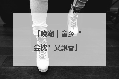 晚潮｜畲乡“金枕”又飘香