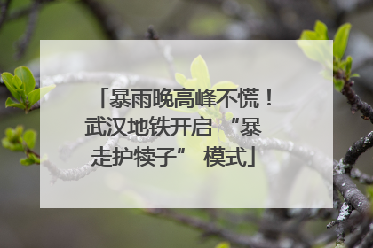 暴雨晚高峰不慌！武汉地铁开启 “暴走护犊子” 模式