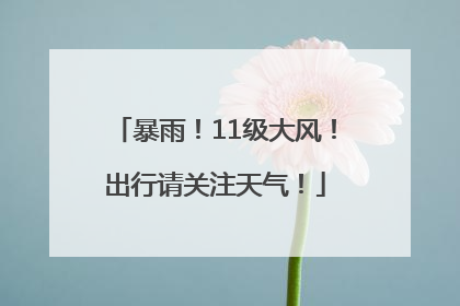 暴雨！11级大风！出行请关注天气！