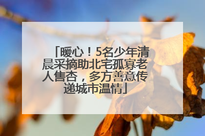 暖心！5名少年清晨采摘助北宅孤寡老人售杏，多方善意传递城市温情