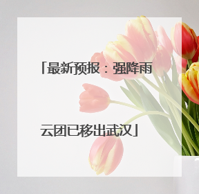 最新预报：强降雨云团已移出武汉