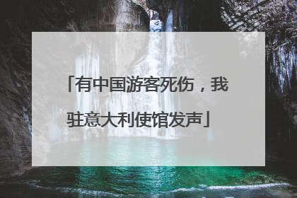 有中国游客死伤，我驻意大利使馆发声