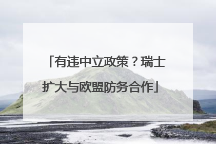 有违中立政策？瑞士扩大与欧盟防务合作
