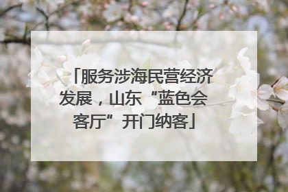 服务涉海民营经济发展，山东“蓝色会客厅”开门纳客