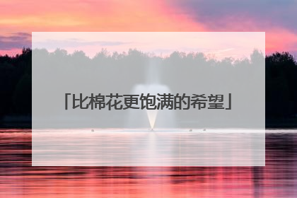 比棉花更饱满的希望