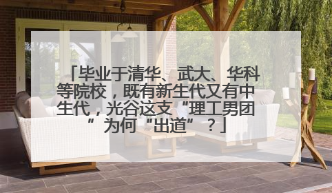 毕业于清华、武大、华科等院校，既有新生代又有中生代，光谷这支“理工男团”为何“出道”？