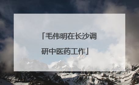 毛伟明在长沙调研中医药工作