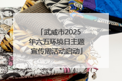 武威市2025年六五环境日主题宣传周活动启动