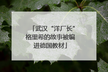 武汉“洋厂长”格里希的故事被编进德国教材