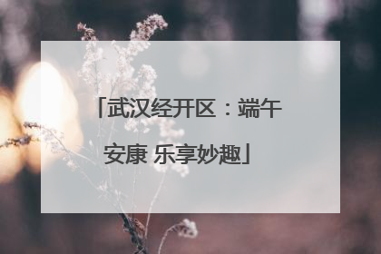 武汉经开区：端午安康 乐享妙趣