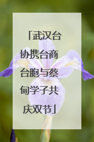 武汉台协携台商台胞与蔡甸学子共庆双节
