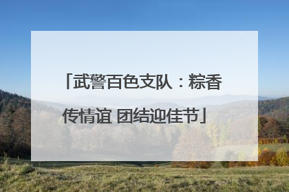 武警百色支队：粽香传情谊 团结迎佳节