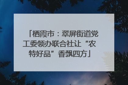 栖霞市：翠屏街道党工委领办联合社让“农特好品”香飘四方