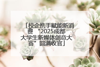 校企携手赋能新消费 “2025成都大学生新媒体创意大赛”圆满收官