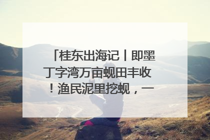桂东出海记丨即墨丁字湾万亩蚬田丰收！渔民泥里挖蚬，一天上岸过千斤