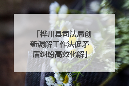桦川县司法局创新调解工作法促矛盾纠纷高效化解