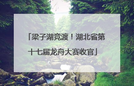梁子湖竞渡！湖北省第十七届龙舟大赛收官