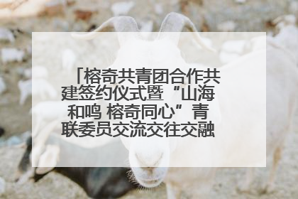 榕奇共青团合作共建签约仪式暨“山海和鸣 榕奇同心”青联委员交流交往交融活动在福州举行