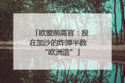 欧盟前高官：投在加沙的炸弹半数“欧洲造”