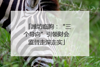 潍坊临朐：“三个导向”引领财会监督走深走实