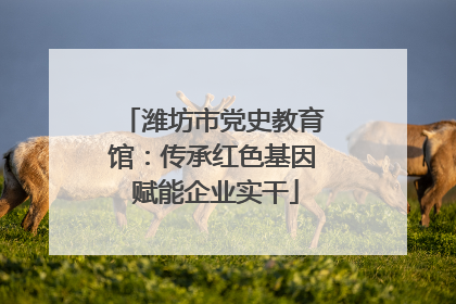 潍坊市党史教育馆：传承红色基因 赋能企业实干