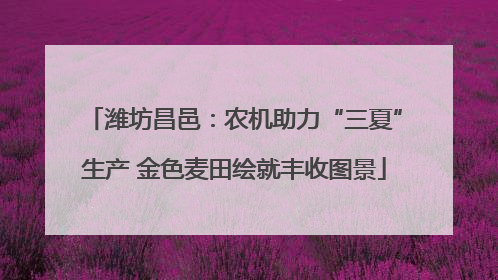 潍坊昌邑：农机助力“三夏”生产 金色麦田绘就丰收图景