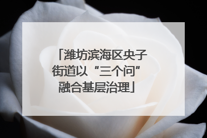潍坊滨海区央子街道以“三个问”融合基层治理