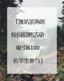 潍坊滨海区校园招聘活动吸引6100名学生参与