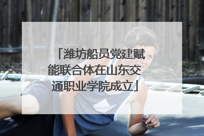 潍坊船员党建赋能联合体在山东交通职业学院成立
