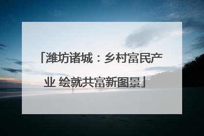 潍坊诸城：乡村富民产业 绘就共富新图景