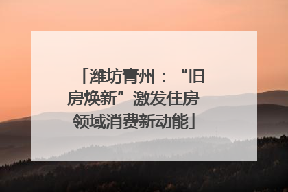 潍坊青州：“旧房焕新”激发住房领域消费新动能